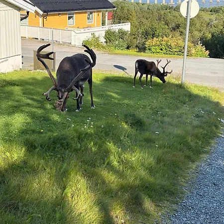 Bright And Well-maintained Tromso